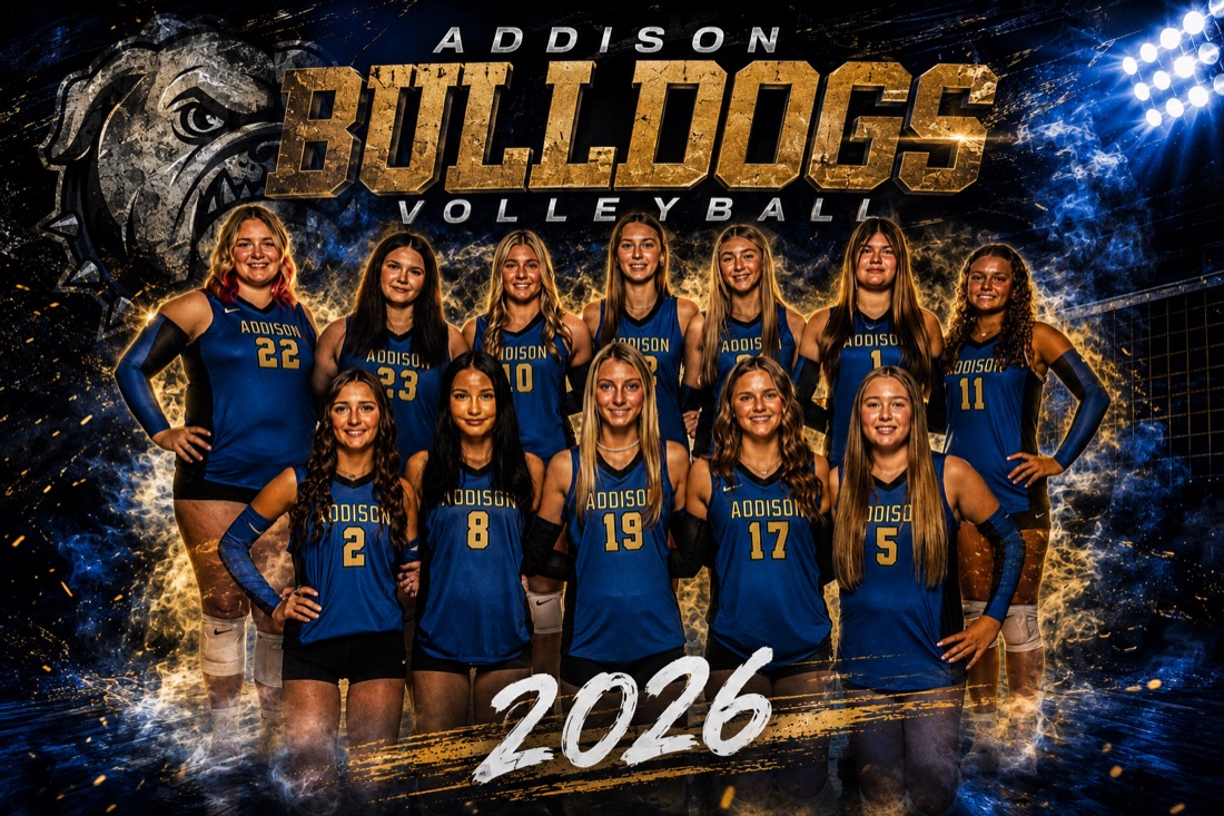 Addison Bulldogs Volleyball 2026 — 3x6 team banner example by VIZN