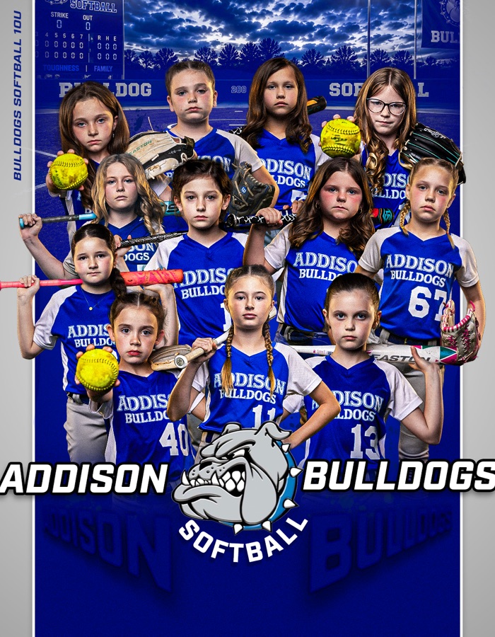 Addison Bulldogs Softball 10U team design by VIZN