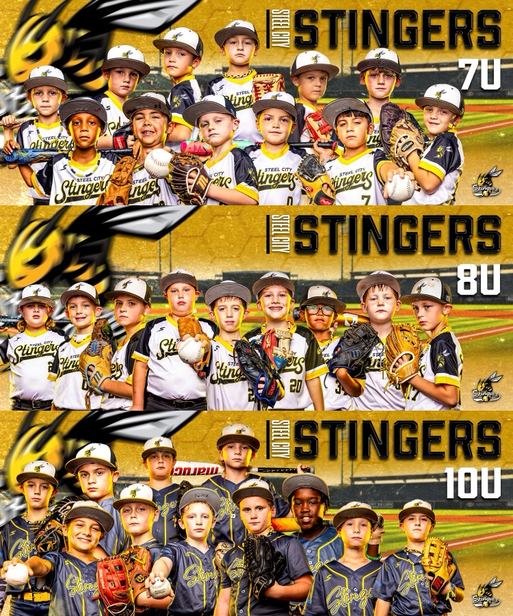 Steel City Stingers Baseball 7U, 8U & 10U team designs by VIZN